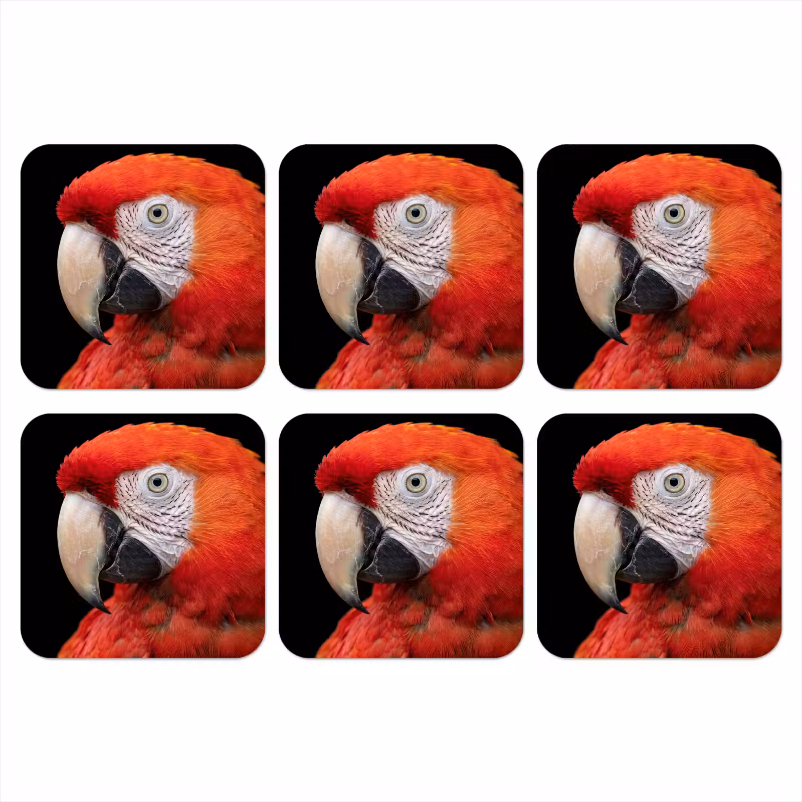 Onderzetter - Ara - Portret - Rood — 1