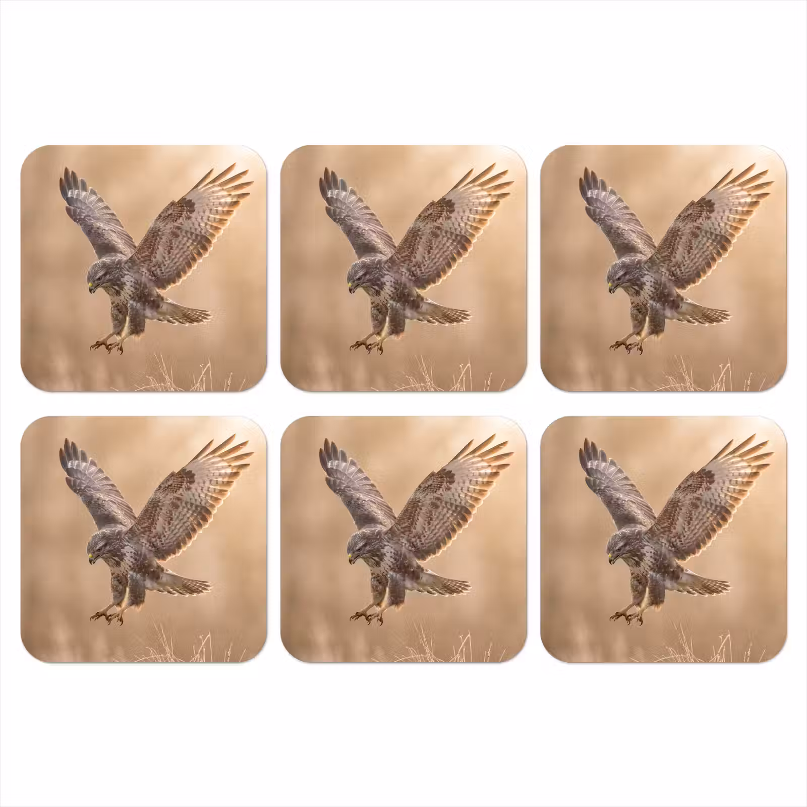 Onderzetter - Buizerd - Roofvogel - Natuur - Bruin — 1