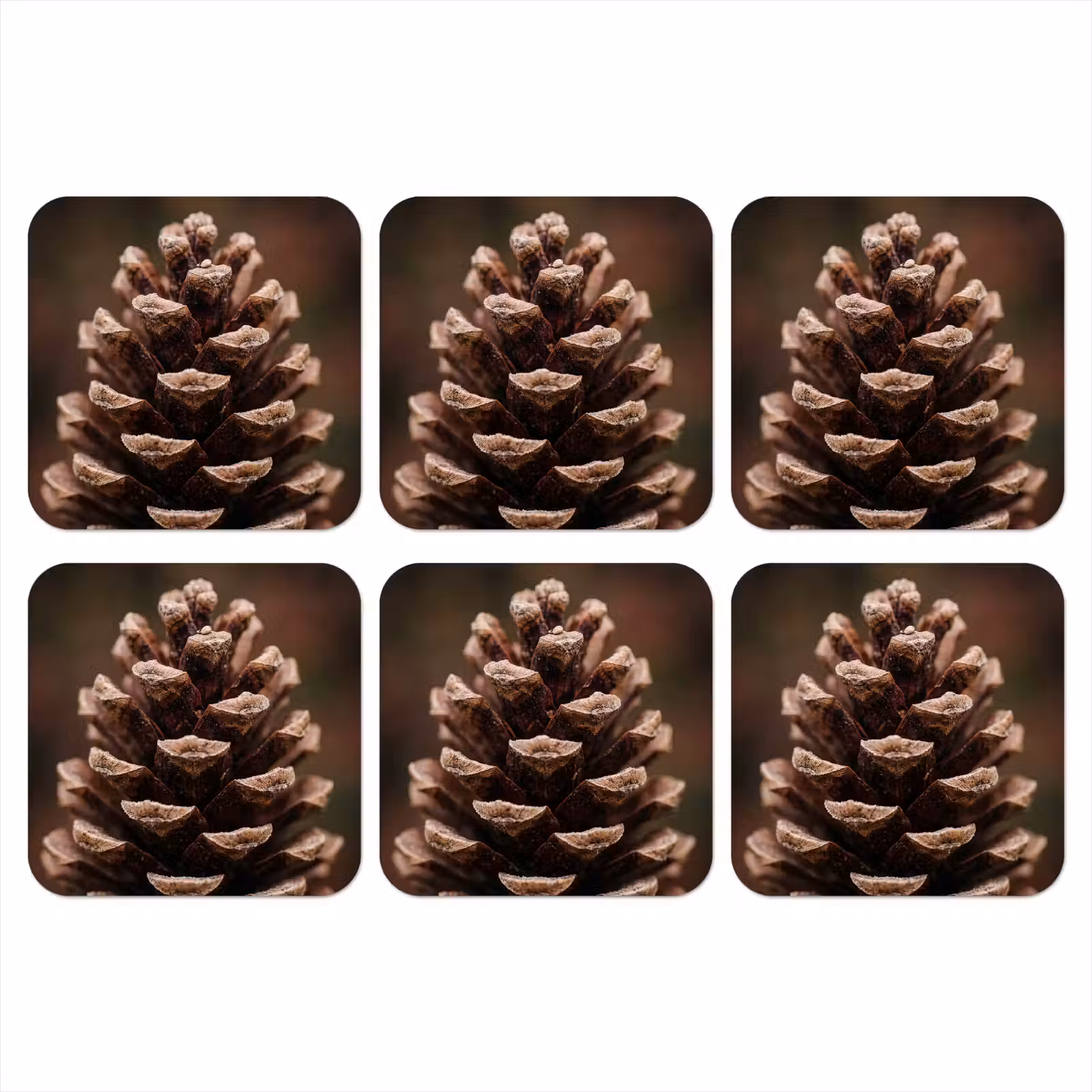 Onderzetter - Dennenappel - Bos - Herfst - Bruin - Sfeervol — 1