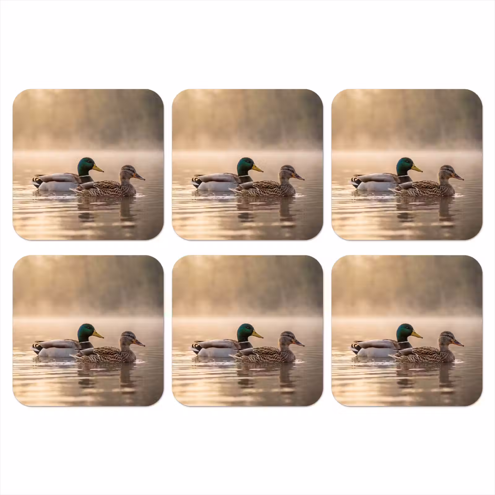 Onderzetter - Eenden - Water - Mist - Natuur — 1