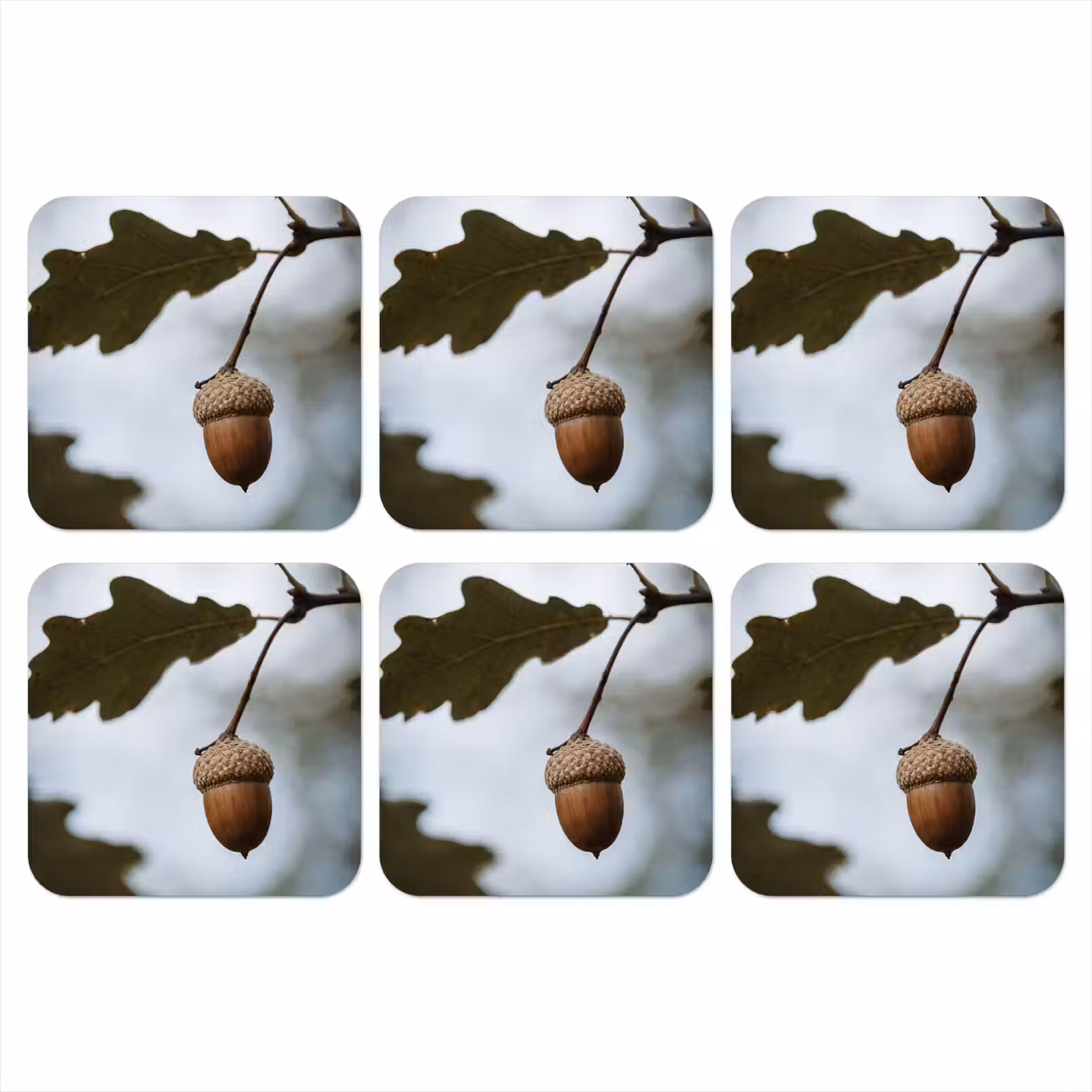 Onderzetter - Eikel - Eikenblad - Bos - Herfst - Natuur — 1