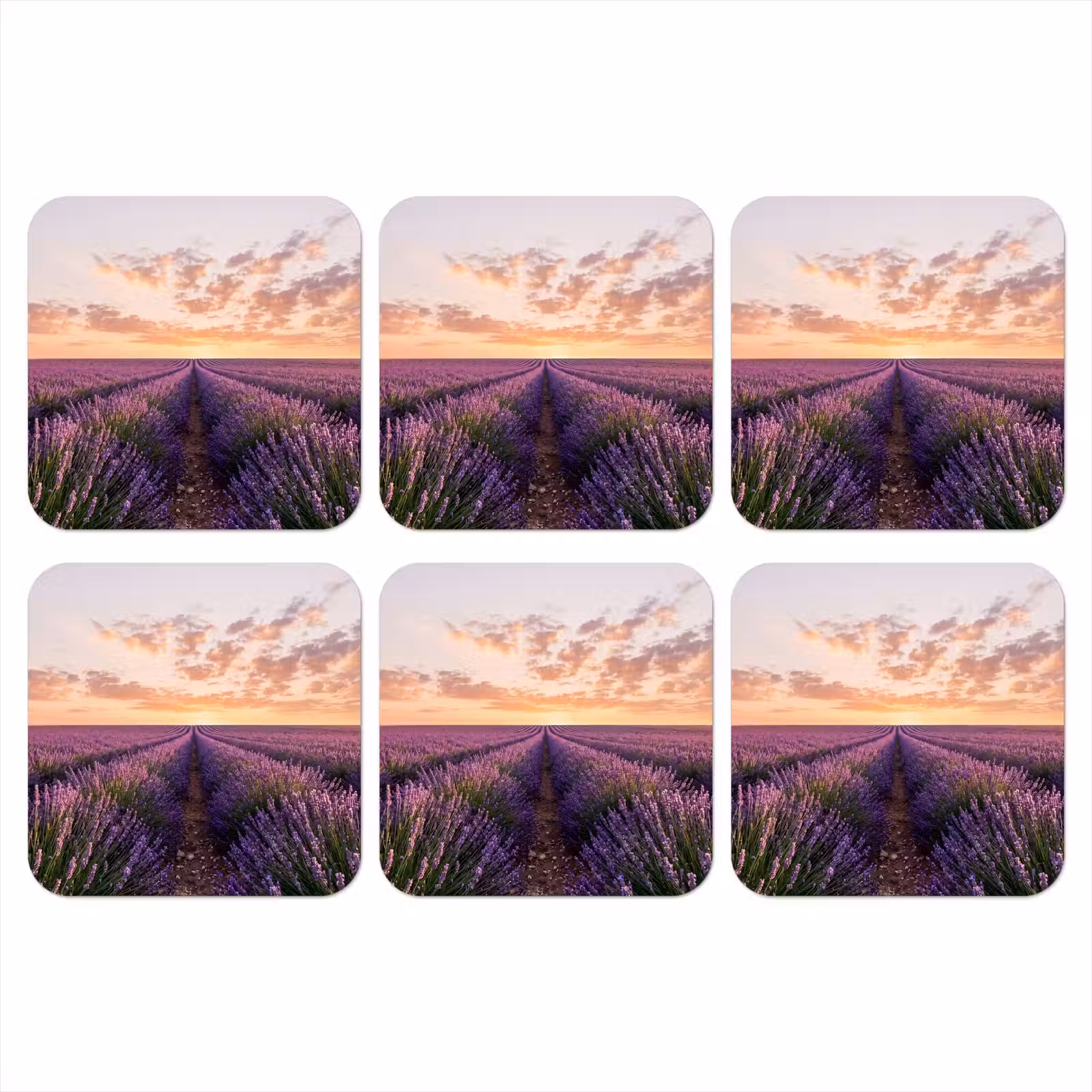 Onderzetter - Landschap - Lavendelveld - Paars — 1