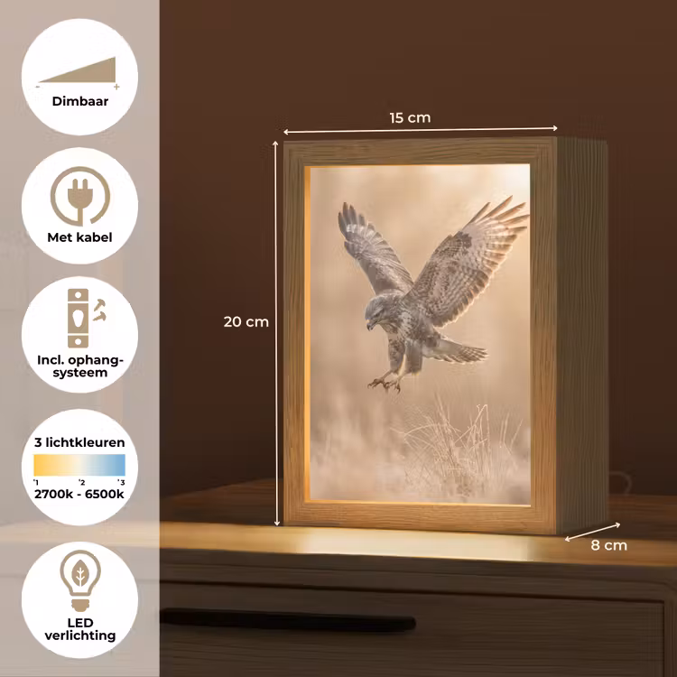 Nachtlampje - Buizerd - Roofvogel - Natuur - Bruin — 2