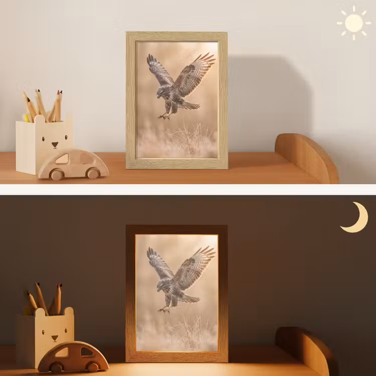 Nachtlampje - Buizerd - Roofvogel - Natuur - Bruin — 7