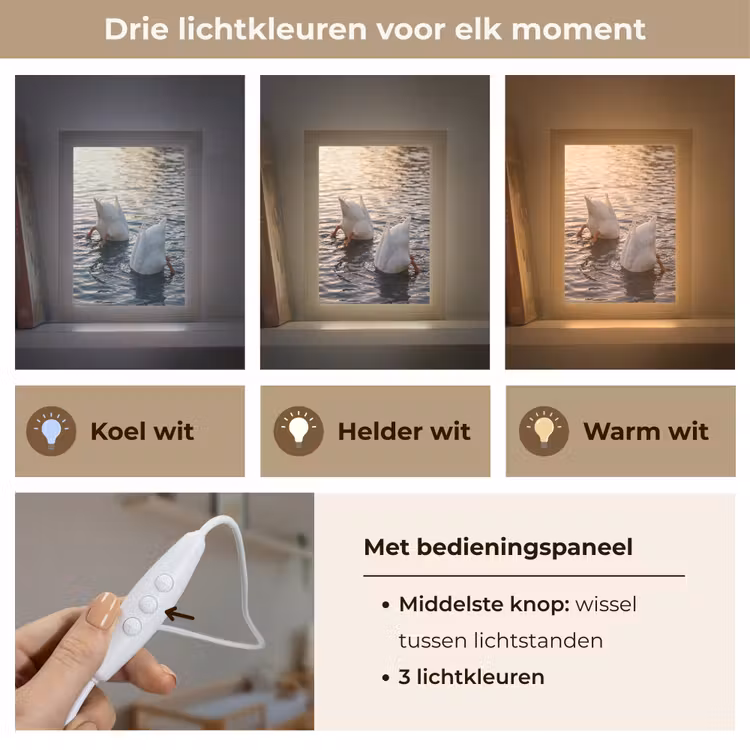 Nachtlampje - Eenden - Water - Natuur — 5
