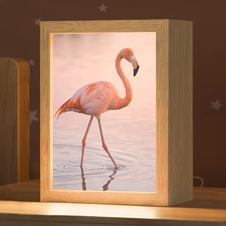 Nachtlampje - Flamingo - Water - Roze — 1