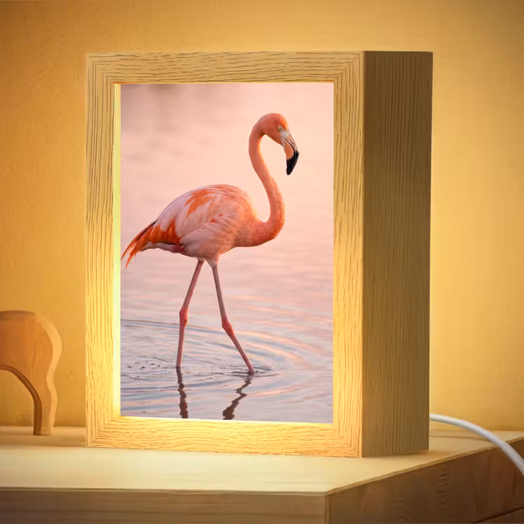 Nachtlampje - Flamingo - Water - Roze — 4
