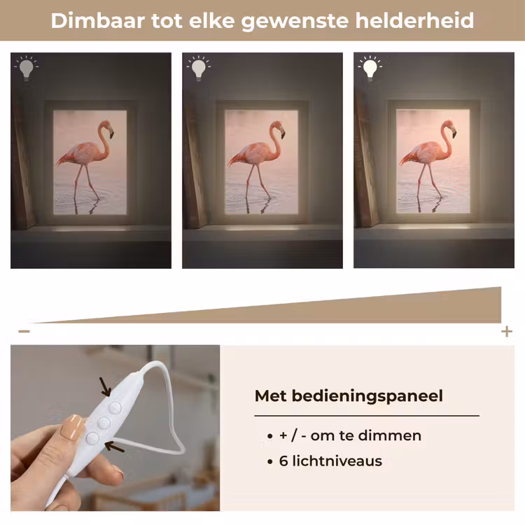 Nachtlampje - Flamingo - Water - Roze — 6