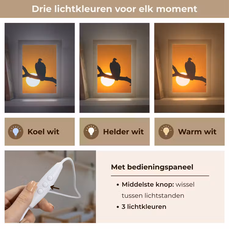 Nachtlampje - Gier - Tak - Zon - Oranje — 5