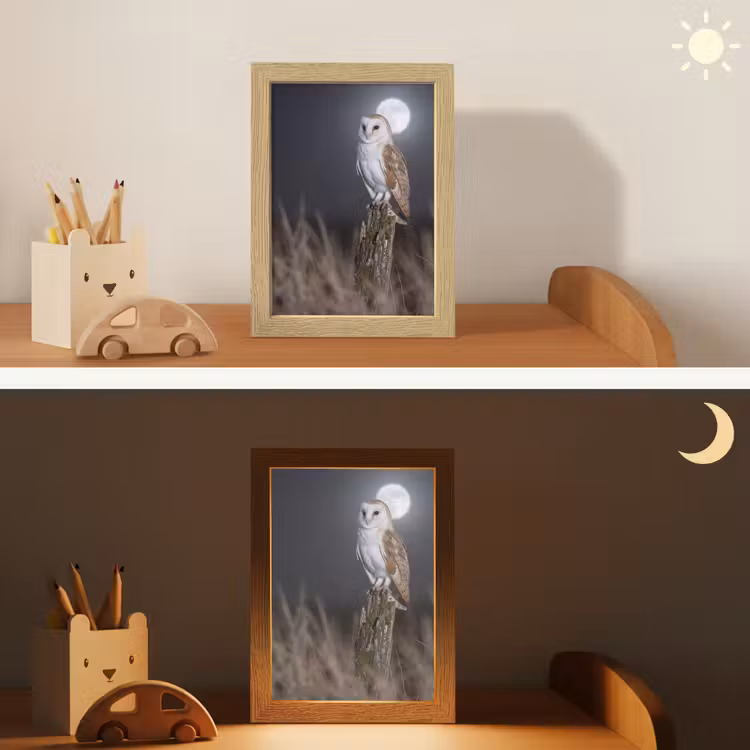 Nachtlampje - Kerkuil - Maan - Nacht — 7