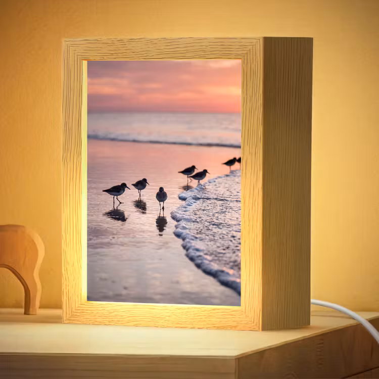 Nachtlampje - Meeuwen - Strand - Zee - Roze — 4