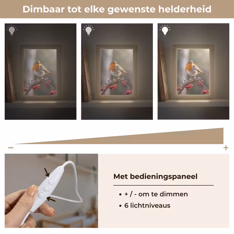 Nachtlampje - Roodborst - Tak - Bessen - Natuur — 6