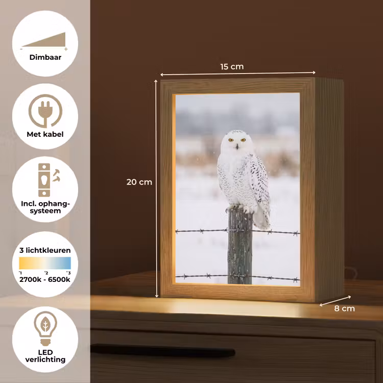 Nachtlampje - Sneeuwuil - Hek - Sneeuw - Wit — 2