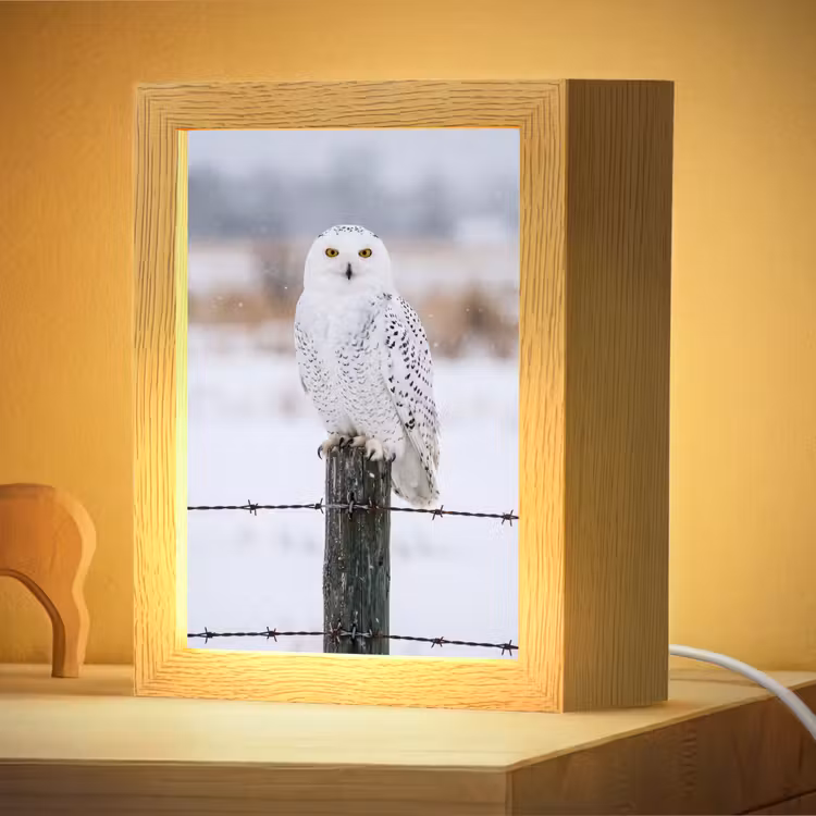 Nachtlampje - Sneeuwuil - Hek - Sneeuw - Wit — 4
