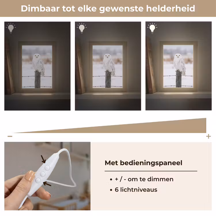 Nachtlampje - Sneeuwuil - Hek - Sneeuw - Wit — 6