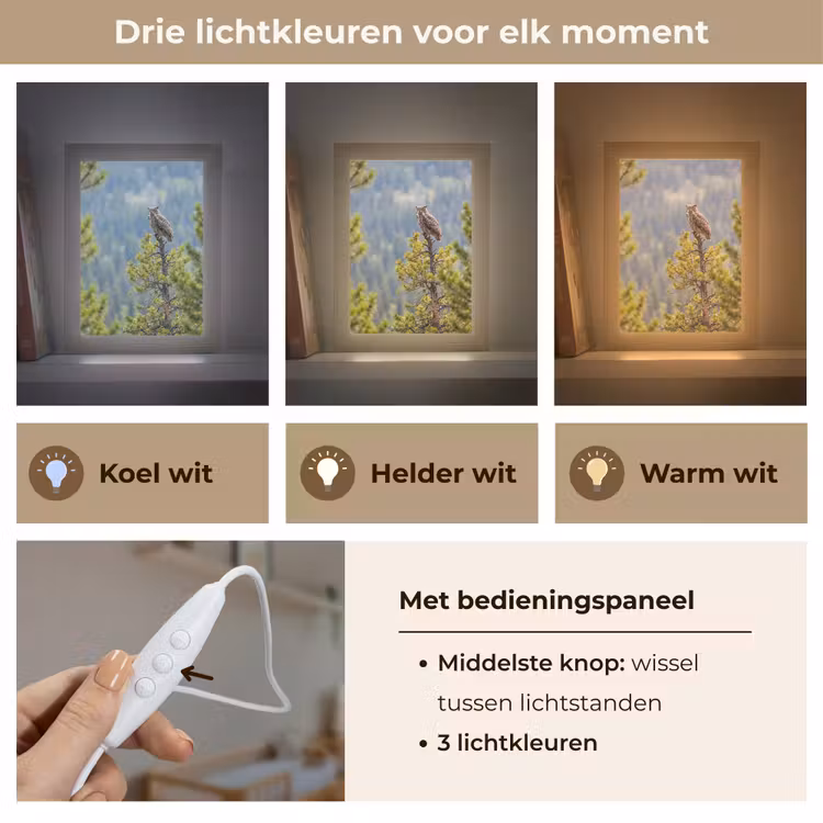Nachtlampje - Uil - Oehoe - Bomen - Natuur — 5
