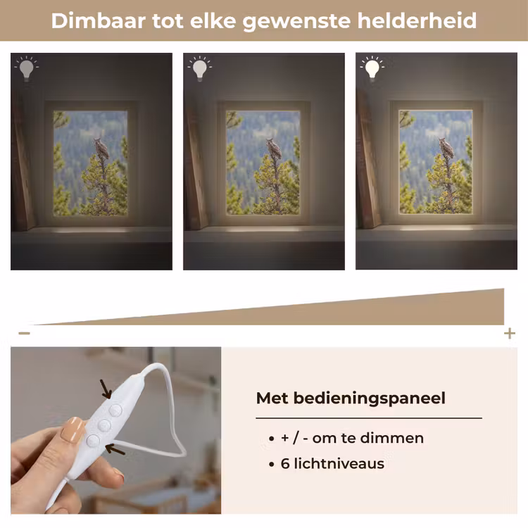 Nachtlampje - Uil - Oehoe - Bomen - Natuur — 6
