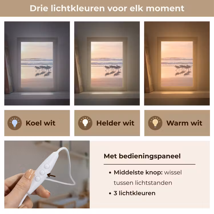 Nachtlampje - Zee - Vogels - Strand — 5