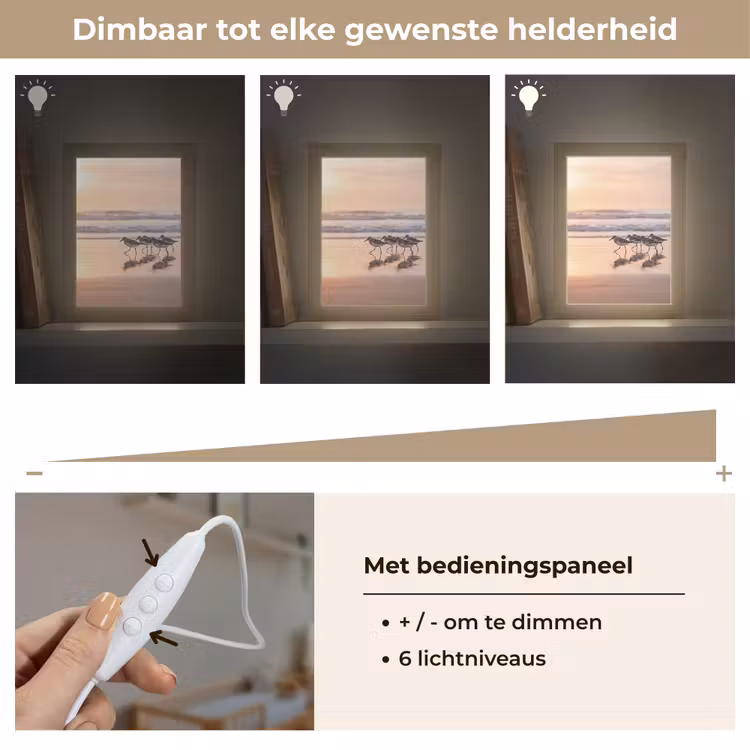 Nachtlampje - Zee - Vogels - Strand — 6