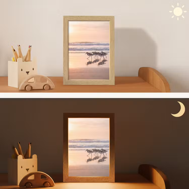 Nachtlampje - Zee - Vogels - Strand — 7