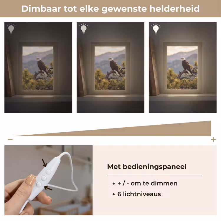 Nachtlampje - Zeearend - Boom - Bergen - Groen — 6