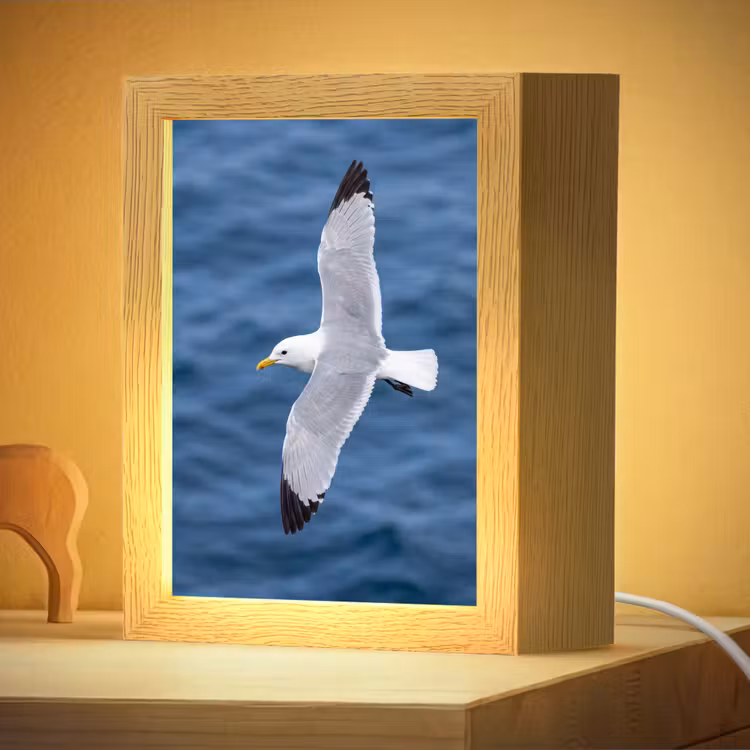 Nachtlampje - Zeemeeuw - Oceaan - Blauw — 4