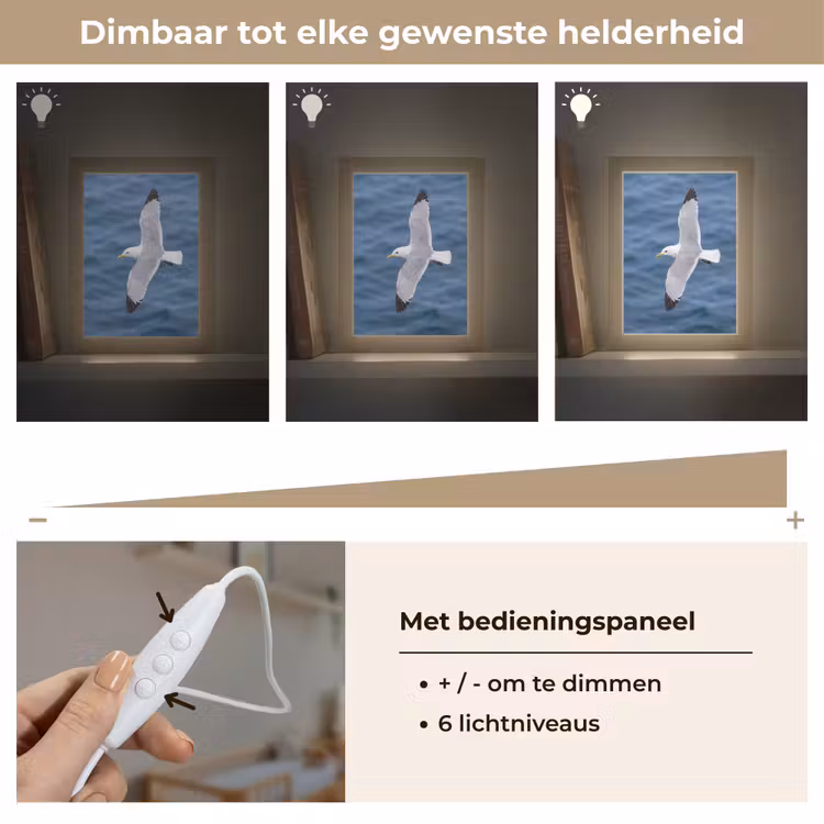 Nachtlampje - Zeemeeuw - Oceaan - Blauw — 6