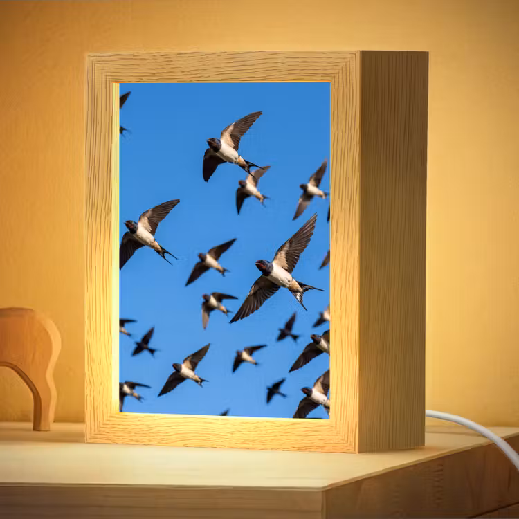 Nachtlampje - Zwaluwen - Vliegen - Blauw — 4