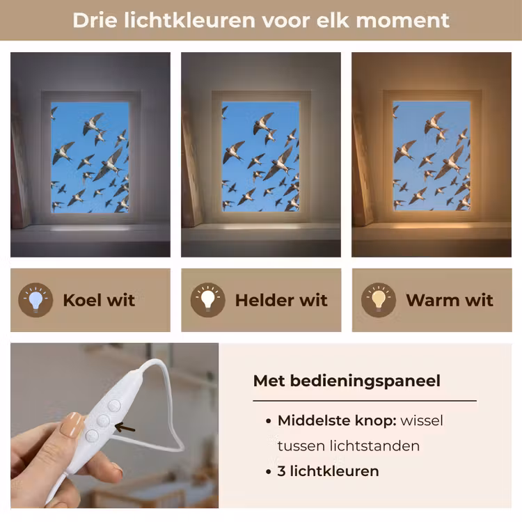 Nachtlampje - Zwaluwen - Vliegen - Blauw — 5