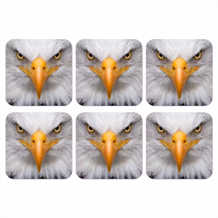 Onderzetter - Amerikaans - Zeearend - Portret - Geel — 1