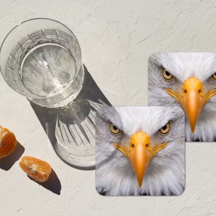 Onderzetter - Amerikaans - Zeearend - Portret - Geel — 3