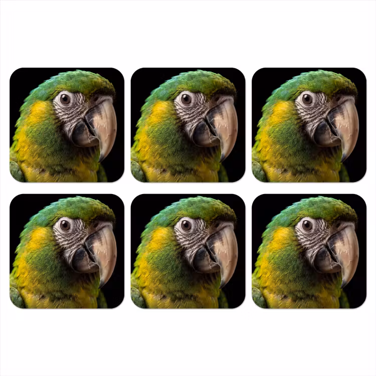 Onderzetter - Ara - Portret - Groen — 1