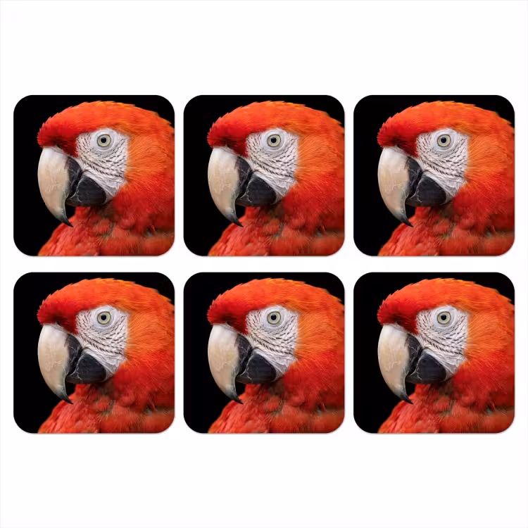 Onderzetter - Ara - Portret - Rood — 1