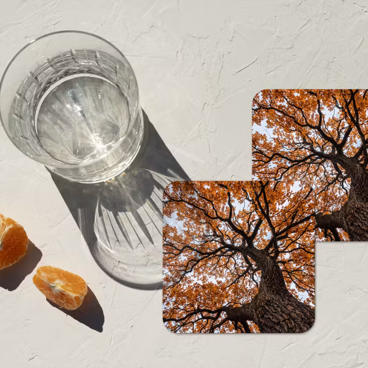 Onderzetter - Boom - Bladerdak - Herfst - Oranje - Sfeervol — 3