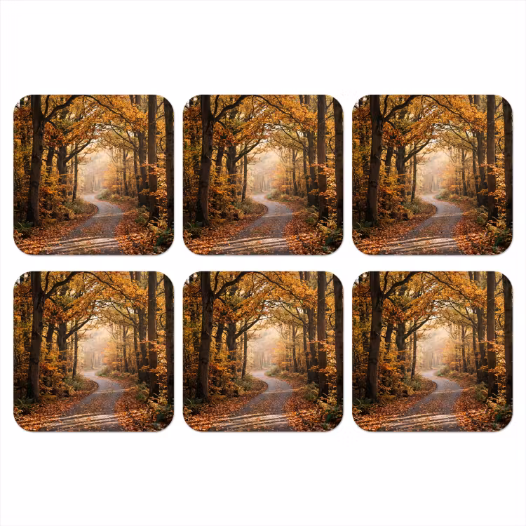 Onderzetter - Bospad - Herfstbos - Bladeren - Oranje - Nostalgisch — 1