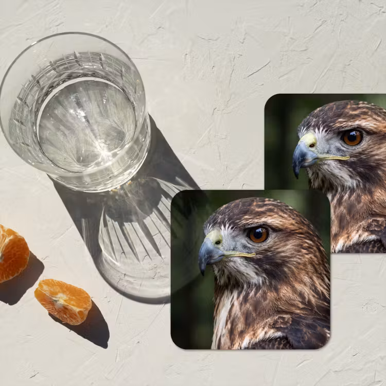 Onderzetter - Buizerd - Roofvogel - Natuur - Bruin — 3