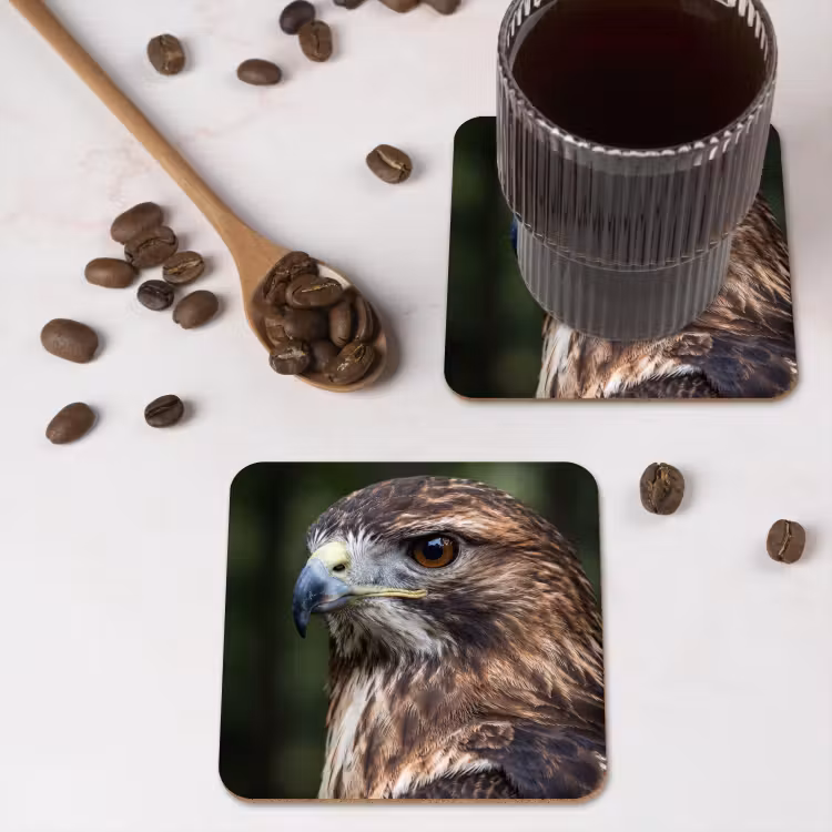 Onderzetter - Buizerd - Roofvogel - Natuur - Bruin — 4
