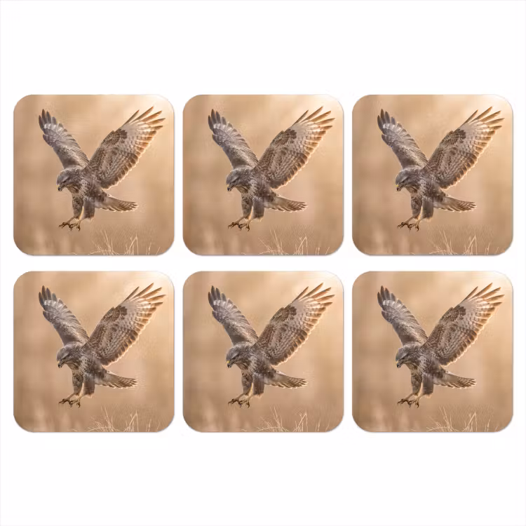 Onderzetter - Buizerd - Roofvogel - Natuur - Bruin — 1