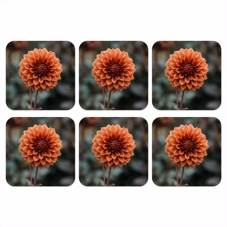 Onderzetter - Dahlia - Bloem - Natuur - Sfeervol — 1