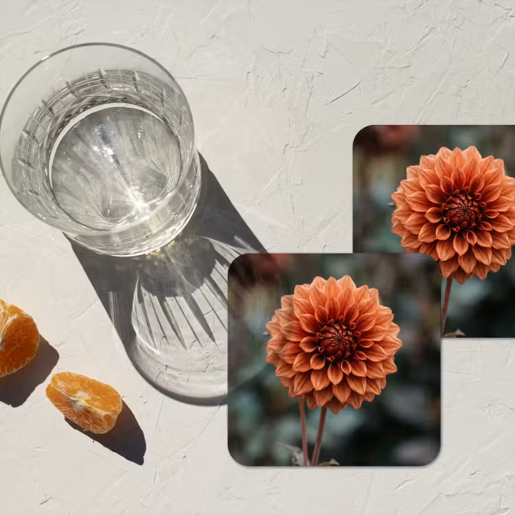 Onderzetter - Dahlia - Bloem - Natuur - Sfeervol — 3