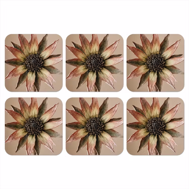 Onderzetter - Droogbloem - Protea - Vintage - Beige - Rustiek — 1