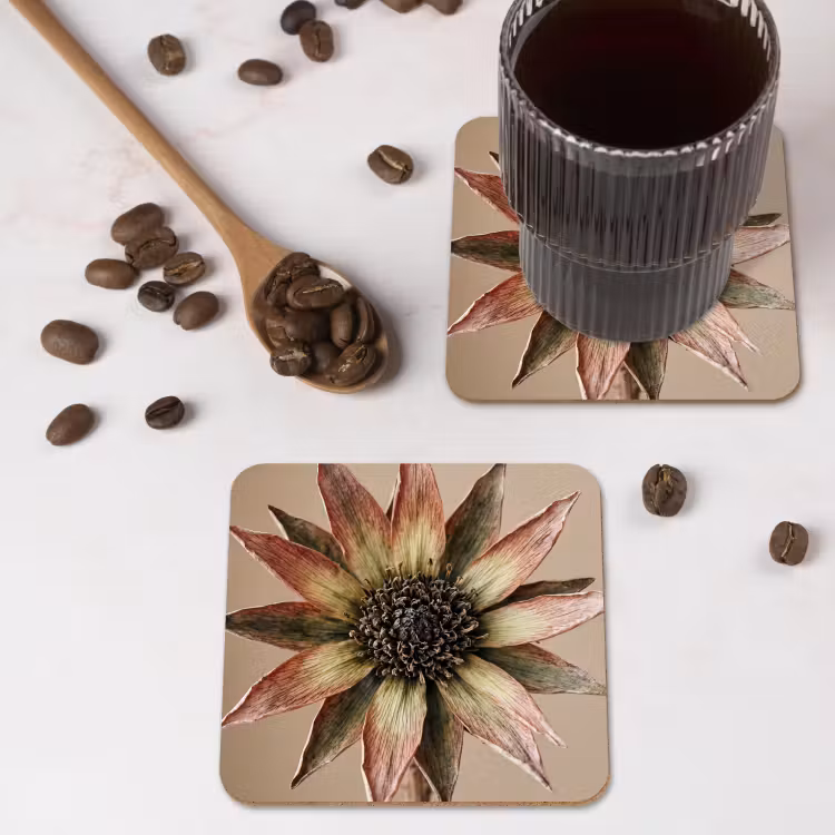 Onderzetter - Droogbloem - Protea - Vintage - Beige - Rustiek — 4
