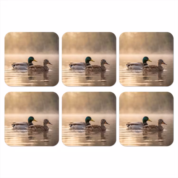 Onderzetter - Eenden - Water - Mist - Natuur — 1
