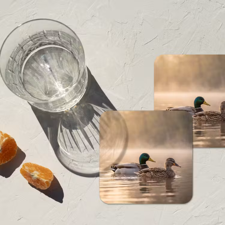 Onderzetter - Eenden - Water - Mist - Natuur — 3