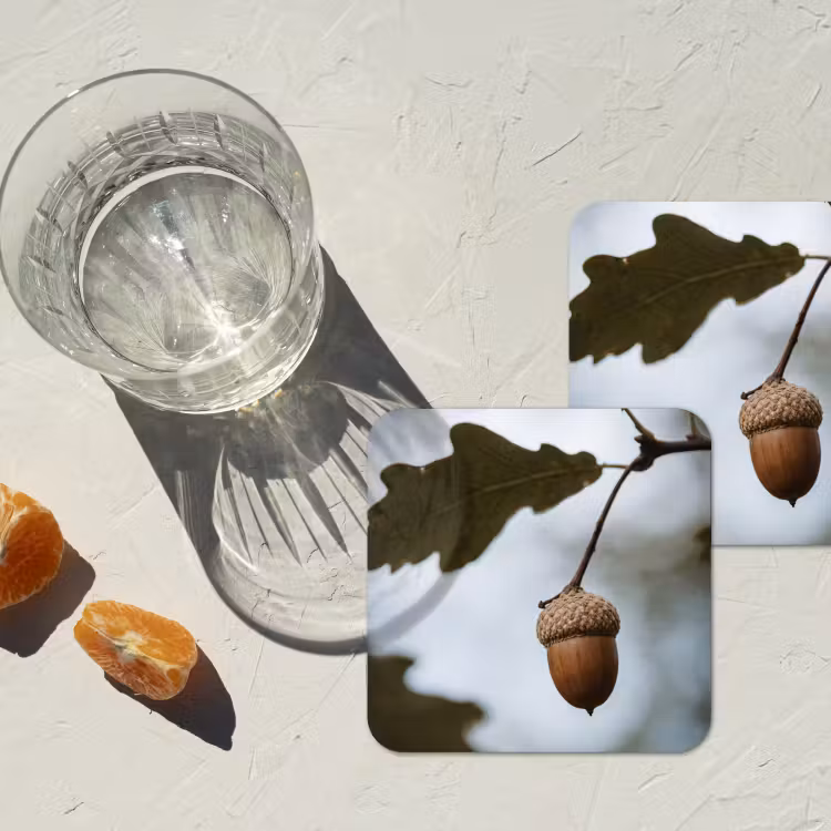 Onderzetter - Eikel - Eikenblad - Bos - Herfst - Natuur — 3