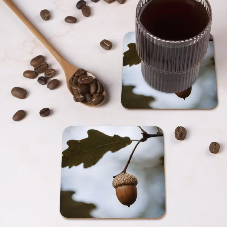 Onderzetter - Eikel - Eikenblad - Bos - Herfst - Natuur — 4