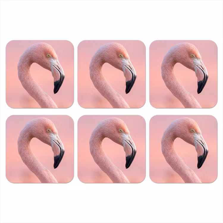 Onderzetter - Flamingo - Portret - Roze — 1