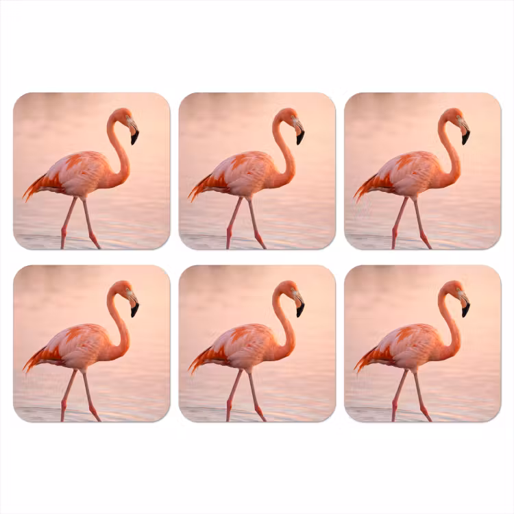 Onderzetter - Flamingo - Water - Roze — 1