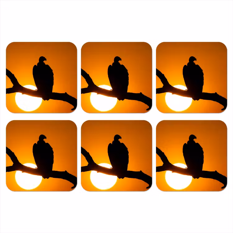 Onderzetter - Gier - Tak - Zon - Oranje — 1