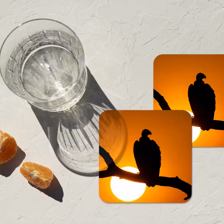 Onderzetter - Gier - Tak - Zon - Oranje — 3